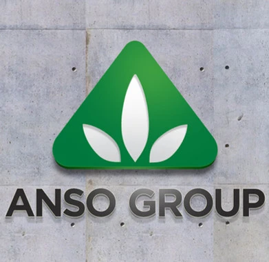 ANSO Group